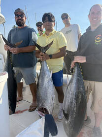 Tuna Fishing keeps goin strong!