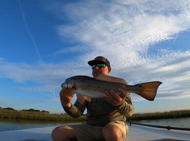 Summer in full swing