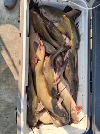 Port Clinton Report Photo 2