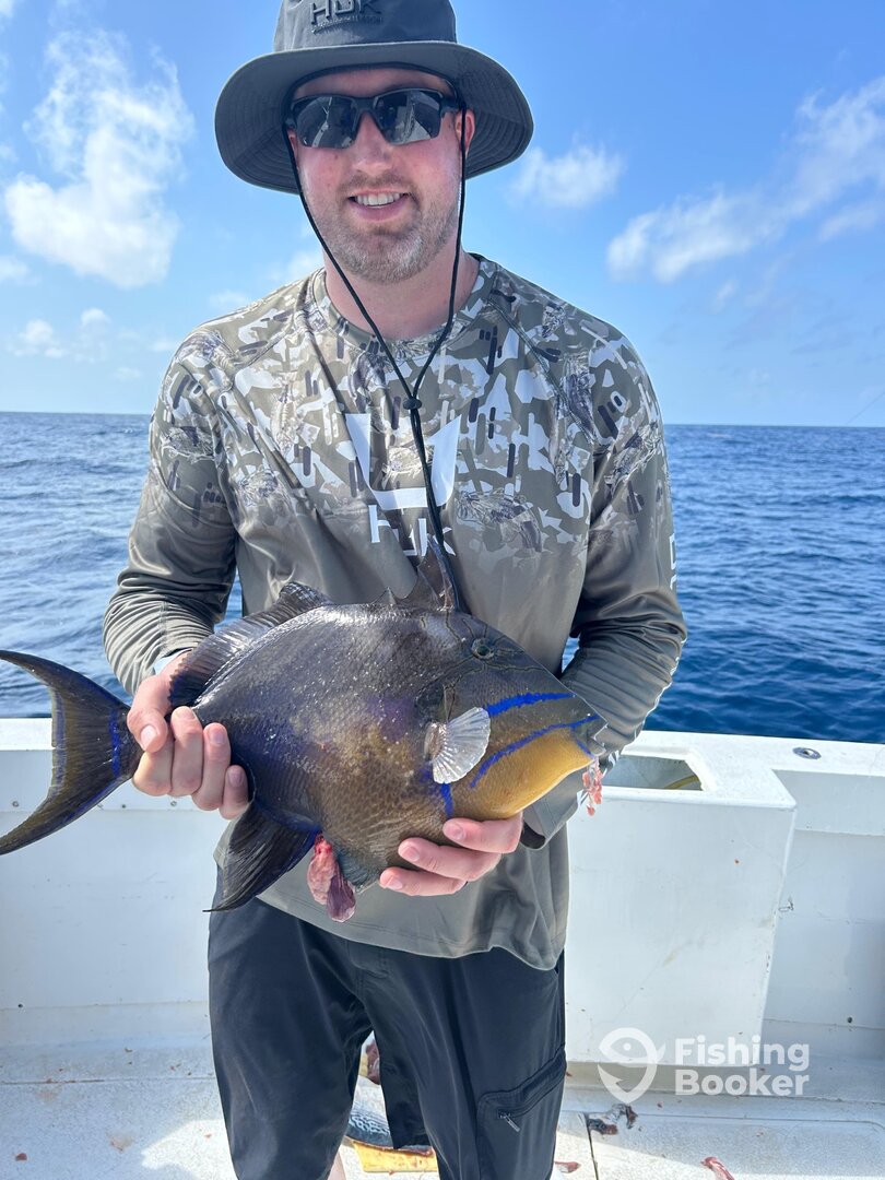 Cancún Report Photo 0