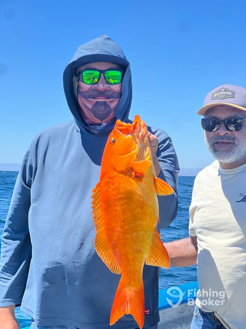 Bahía de los Ángeles Report Photo 0