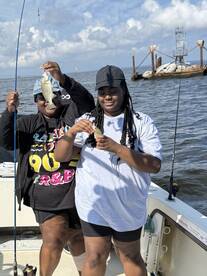 Stevensville Report Photo 1