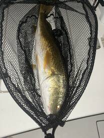 Port Canaveral Report Photo 1