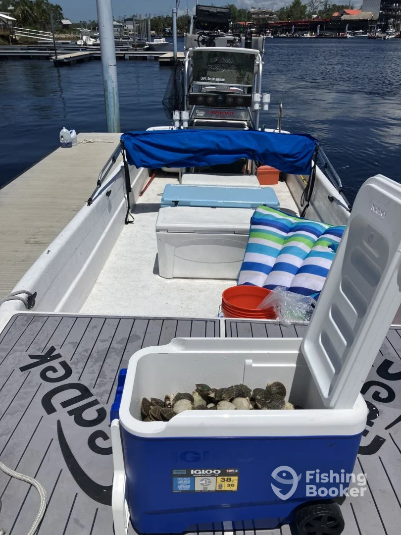 Steinhatchee Report Photo 0