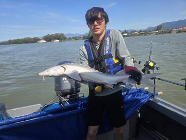 Greyson tags seven nice sturgeon.