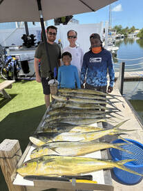 Mahi Bash