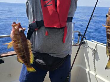 Machico Report Photo 2