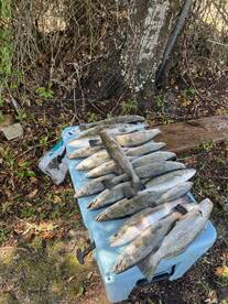 Pass Christian Report Photo 2