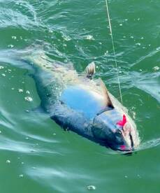 Summer fishing is HOT!