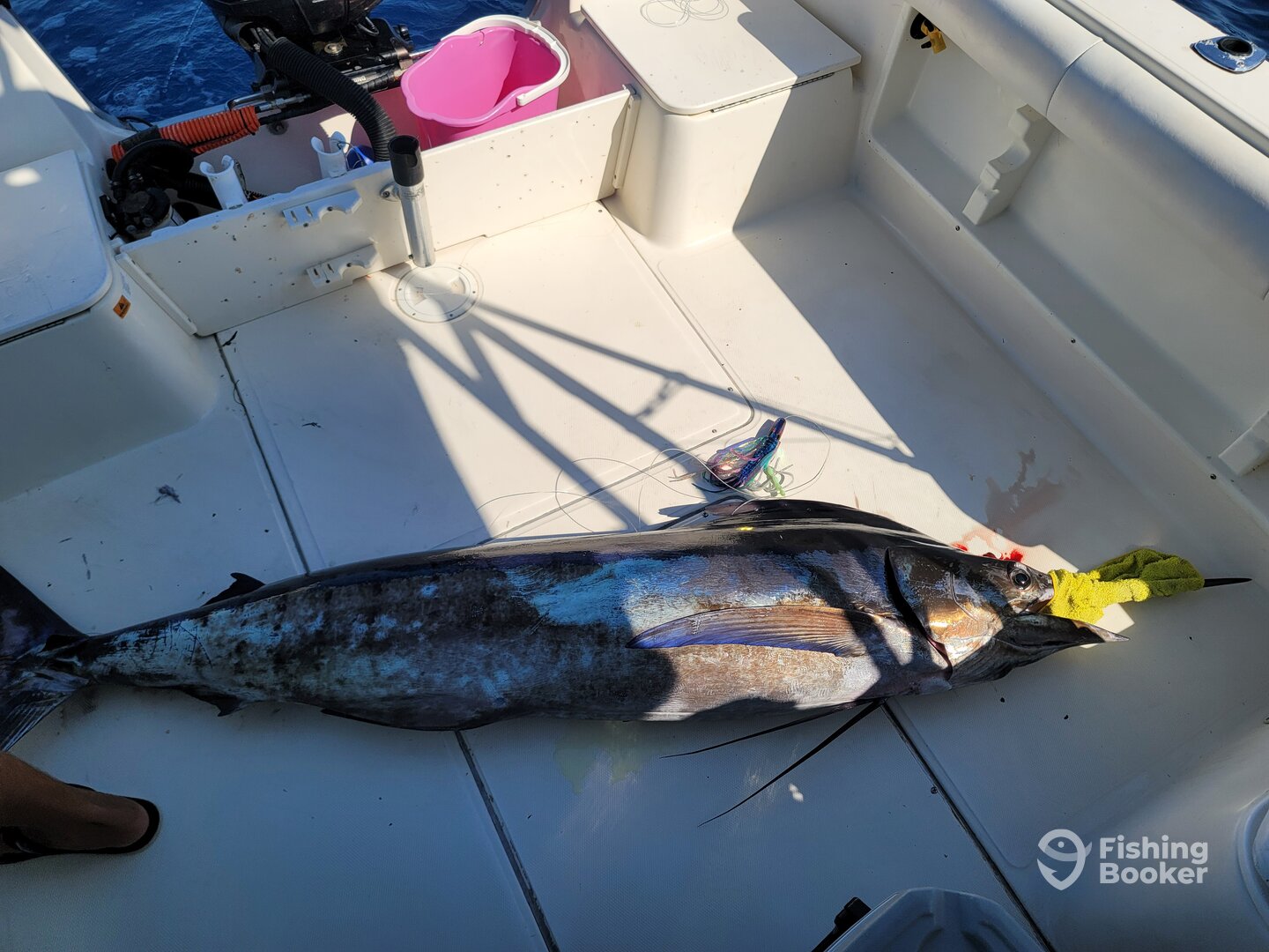 Nuevo Vallarta Report Photo 0