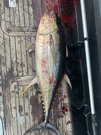 Malé Report Photo 1