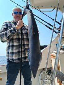 Dana Point Report Photo 2