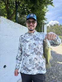 Porto District Report Photo 1