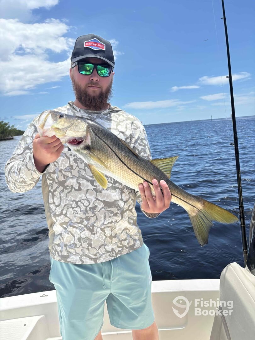 Punta Gorda Report Photo 0