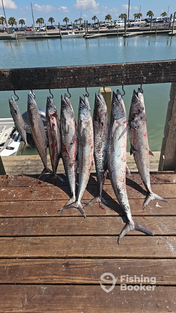 Port Aransas Report Photo 0