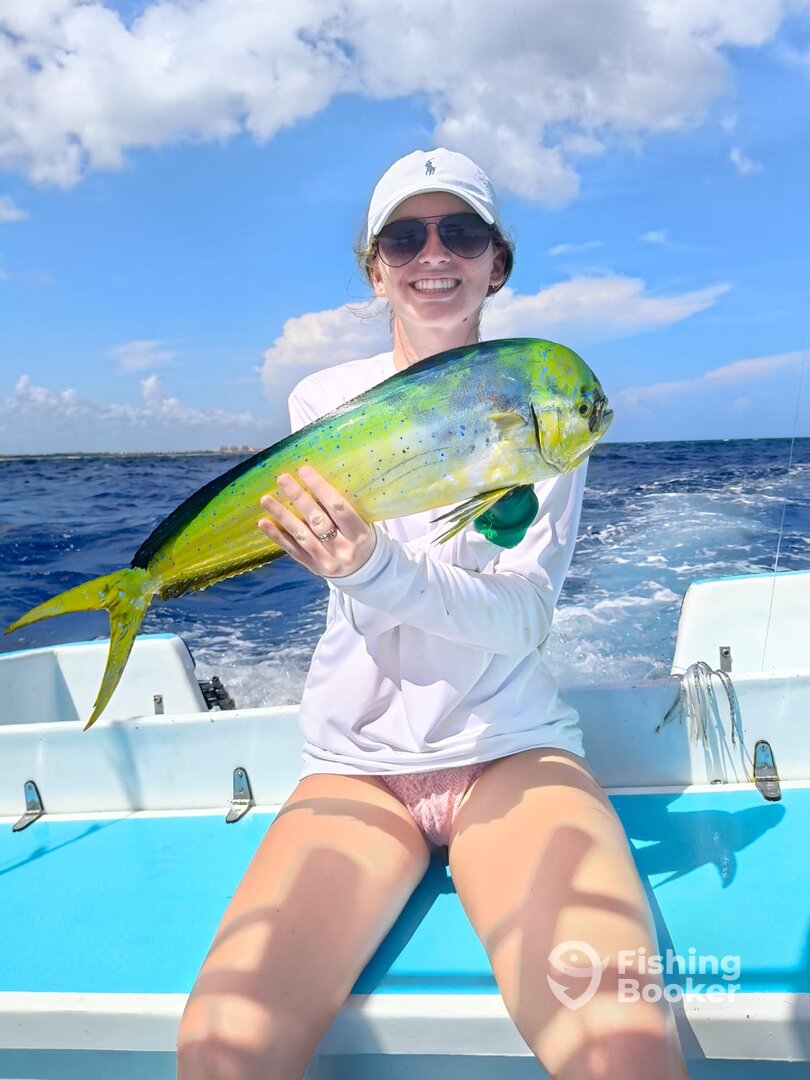 Playa Del Carmen Report Photo 0