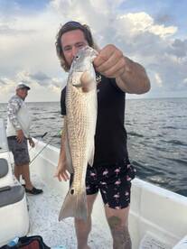 Cedar Key Report Photo 1