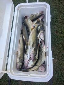 Geneva Report Photo 1