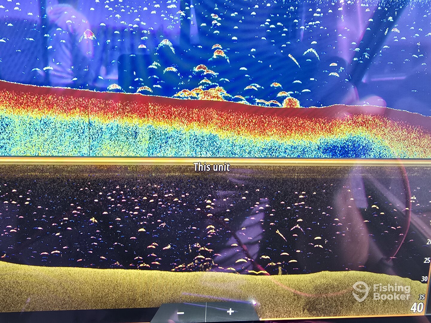 Rio Vista Report Photo 0