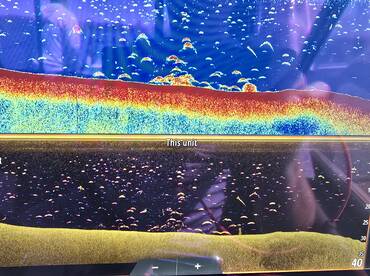 Water temps are still high