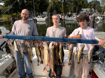 Fast Limits and NICE fish