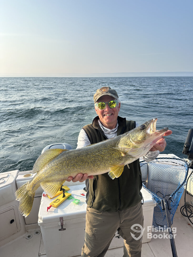 Westfield Report Photo 0