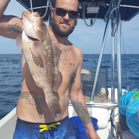 Bay Pines Report Photo 2