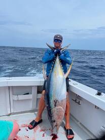 100lb Yellowfin