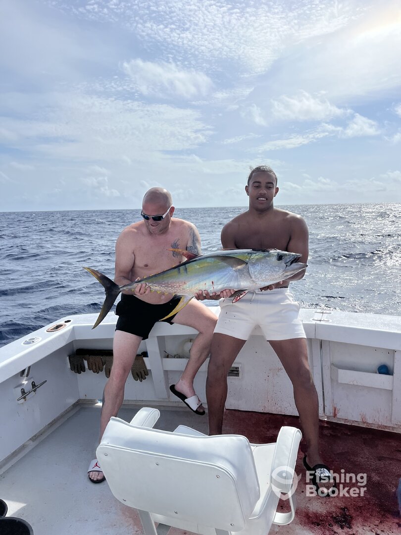 50LB yellowfin