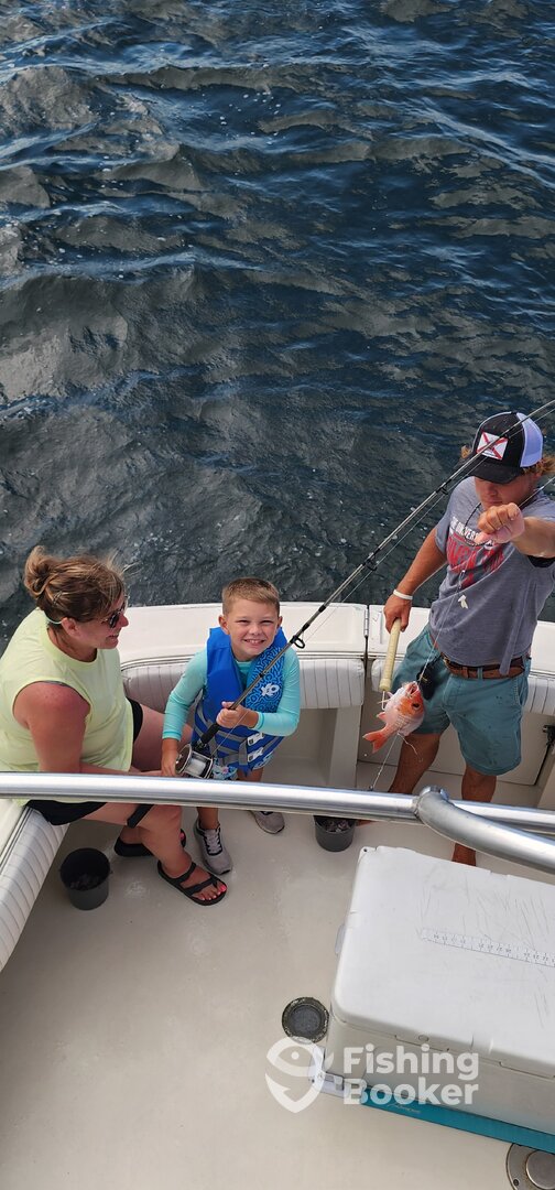 Gulf Shores Report Photo 0