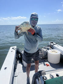 Hilton Head Island Report Photo 2