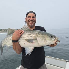 Big bass sharks fluke and seabass 