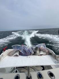 Dennis Report Photo 2