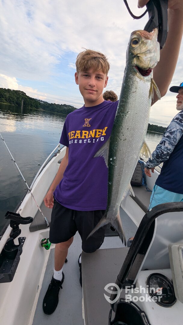 Gamboa Report Photo 0