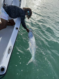 More tarpon, tarpon, tarpon!