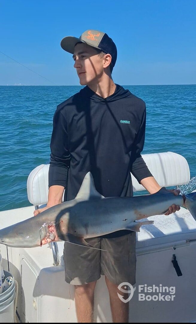 Galveston Report Photo 0