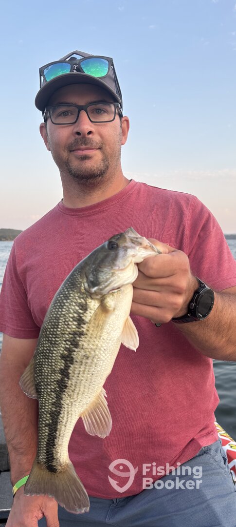 Branson Report Photo 0