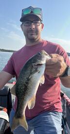 Branson Report Photo 1