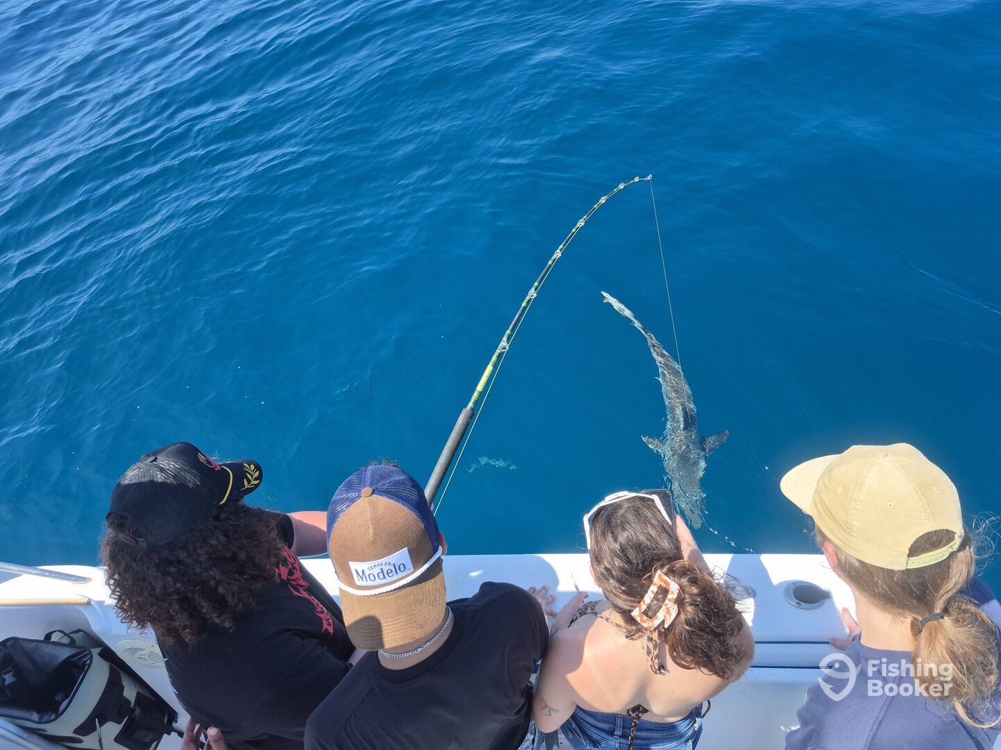 Corpus Christi Report Photo 0