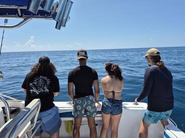 Some small Mahi have been showing up!