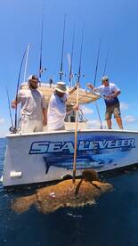 Big Game Trips are as Good as you will e