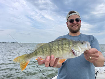 Lelystad Report Photo 4