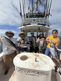 Wow tuna are on the chew 