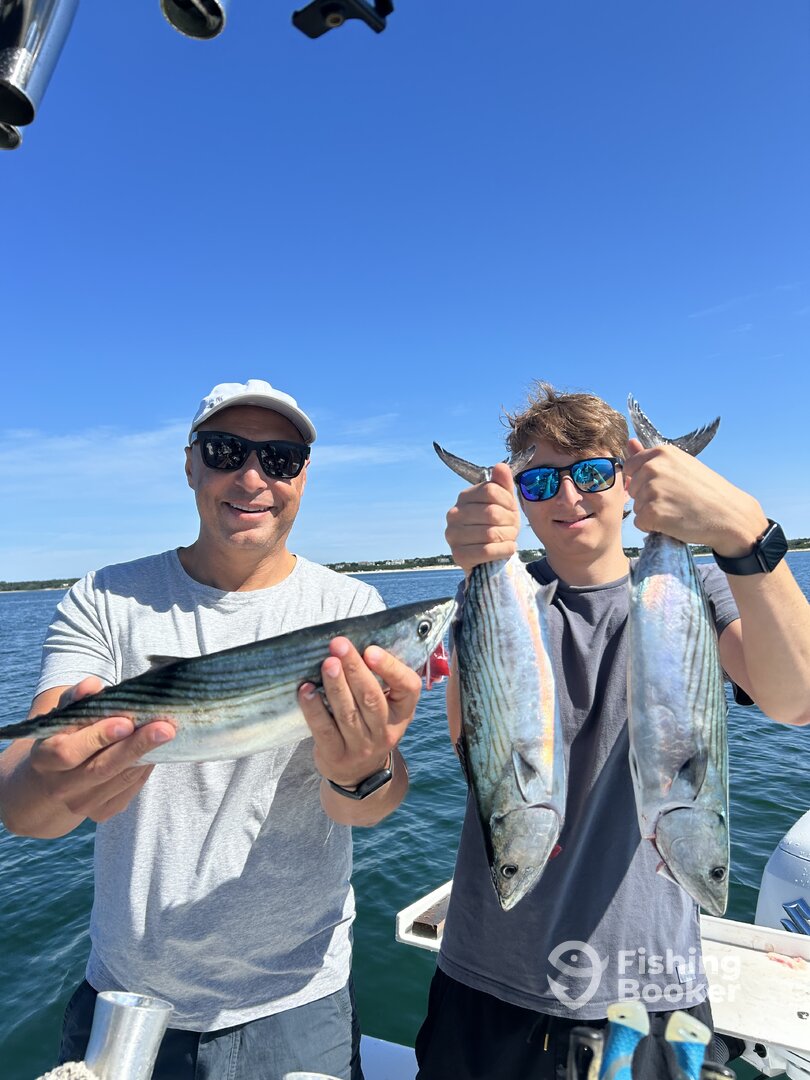 Chatham Report Photo 0