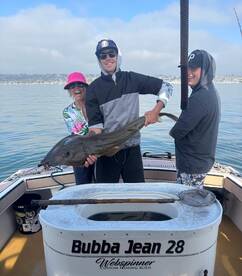 The Bay is on Fire....Again!!