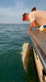 Great inshore fishing