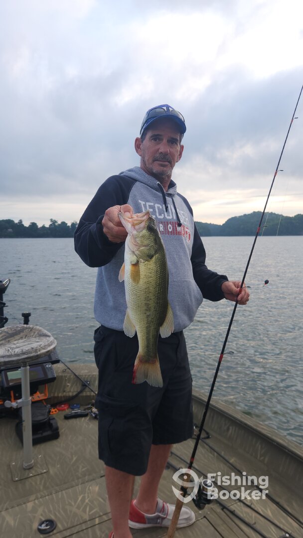 Dandridge Report Photo 0