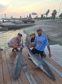 Galveston Report Photo 1