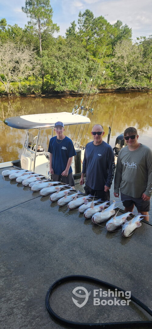 Gulf Shores Report Photo 0