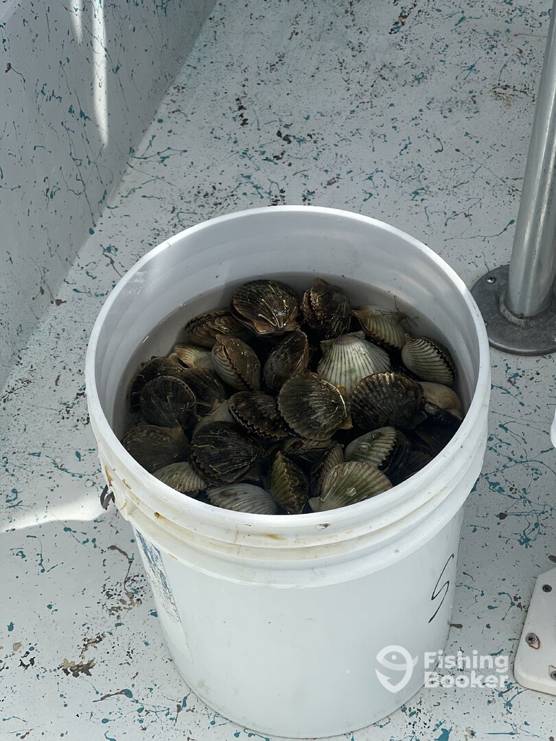 Steinhatchee Report Photo 0